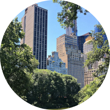 City