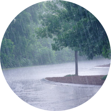 Rain