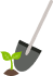Root